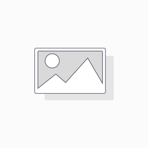 [8111764009] Flachdichtung, DN250, GYLON Blue